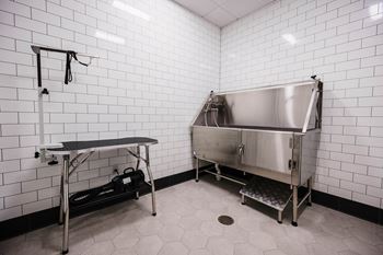 Pet Care Center at Industrie Apartments, Albany